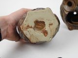 a person holding a piece of pottery in their hand