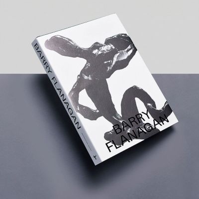 a book with a picture of a man on a skateboard