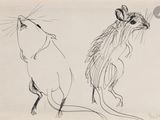 dessin représentant une souris et un rat côte à côte