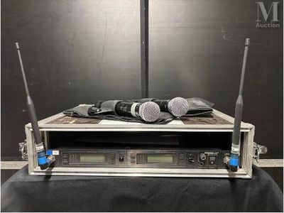 deux microphones posés sur le dessus d'un étui