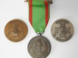 three medals and a pin on a white surface