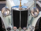 a close up of a vintage car with a bird on top of it