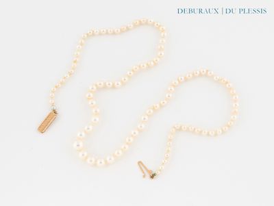 a close up of a pearl necklace with a gold clasp