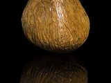 a small vase that is sitting on a black surface