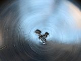 a close up of a metal pan with a spider on it