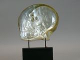 a close up of a sculpture of a shell on a wooden base