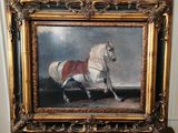 painting of a white horse with a red blanket in a gold frame