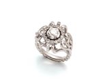 an image of a diamond ring on a white background