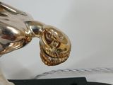 gold plated lion head on a black base with a chain