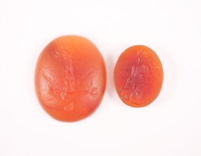 deux fruits posés sur une surface blanche