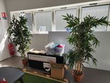 a room with a lot of plants and boxes on the floor