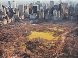 an aerial view of a park in the middle of a city