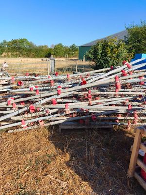 un tas de branches empilées les unes sur les autres