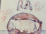 a drawing of a fish in a bowl on a table