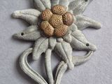 une image représentant un gros plan d'une fleur sur un morceau de tissu