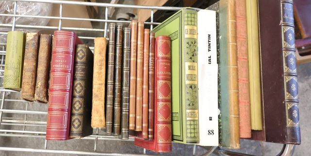 Lot de livres dont Taine voyage aux Pyrénées, Renan : le costume ...