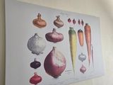 a picture of a picture of vegetables hanging on the wall