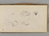 Photo 13/13 du lot