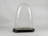 a clear glass dome with a wooden base on a white background