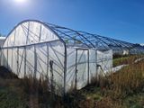 une grande serre blanche avec un toit transparent et beaucoup d'herbes hautes