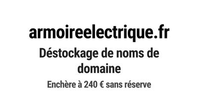 Nom de domaine armoireelectrique.