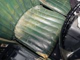 an image of a car seat with a banana leaf seat cover on it