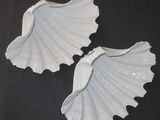 two white seashells sitting on a black surface