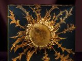 a picture of a gold sunflower on a black background