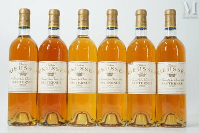 six bouteilles de vin sont alignées sur une surface blanche