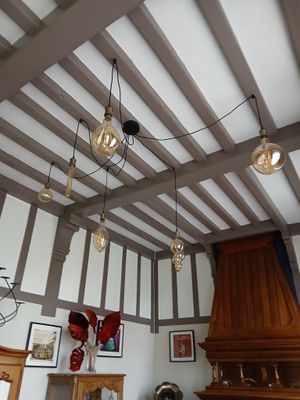 Il y a de nombreuses lampes suspendues au plafond dans ce salon