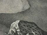 a drawing of a man kneeling down next to a sheep