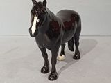 a black horse that is standing on a white surface