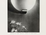 an old black and white photo of a vase with flowers in it