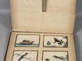 four pictures of birds in a box on a table