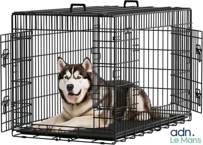 un chien assis dans une cage