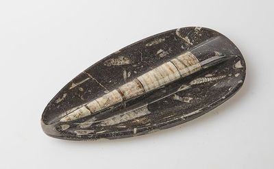 a black and white object on a white surface