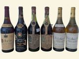 Des bouteilles de vin sont alignées sur un fond blanc