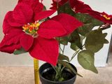a small potted plant with red flowers on a table