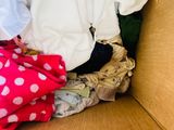 a cardboard box filled with clothes and a teddy bear