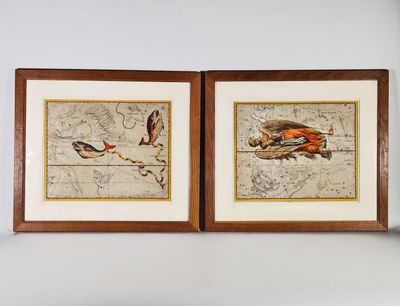 deux cartes encadrées représentant des oiseaux, accrochées au mur du salon
