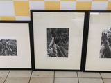 three black and white photographs hanging on a wall