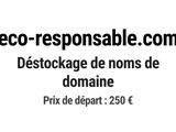 Photo 1/1 du lot