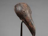 a close up of a bird ' s head on a metal stand