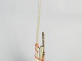 une canette de soda avec une paille qui en sort, à côté d'une autre canette de soda