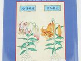 the cover of the book les jardins secrets de l ' empereur