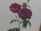 painting of two red roses with green leaves in a gold frame