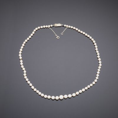 a white pearl necklace with a silver clasp