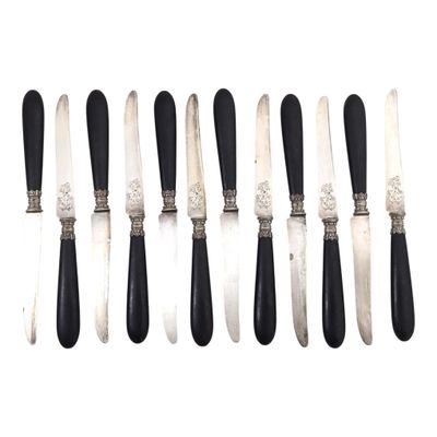 Suite de douze COUTEAUX A FRUITS, lame argent, manche en boi…