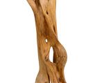 an image of a piece of wood that has been carved to look like a tree