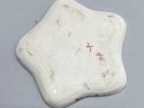 an image of a small white star shaped object on a gray surface